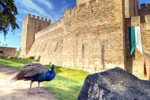 Sao Jorge Castle Skip-the-Line Ticket with Guide