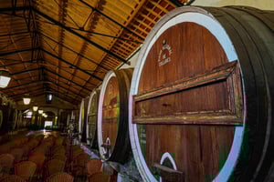 Sintra, Pena Palace & Wine Tasting Small-Group Tour