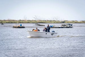 Tagus Estuary Nature Reserve Birdwatching Boat Tour
