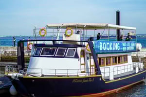 Tagus River Cruise to the Ocean & Dolphin Watching