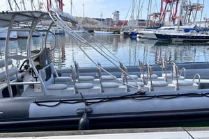 Lisbon: Tagus River Marine Wildlife Speedboating Adventure