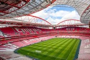 Ticket for a visit to Estádio da Luz + Museum