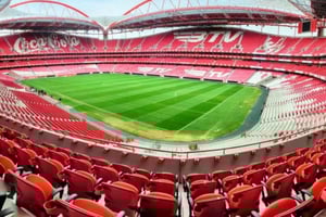 Ticket for a visit to Estádio da Luz + Museum