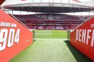 Ticket for a visit to Estádio da Luz + Museum