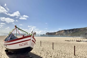 Lisbon: To Porto, Day Trip & Transfer with Stops in 3 Cities