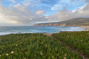 Lisbon to: Sintra, Pena & Regaleira guided 8pax group tour