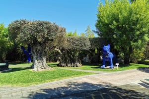 Lisbon to Wine Tasting Setubal, Two Cellars, Half Day Tour