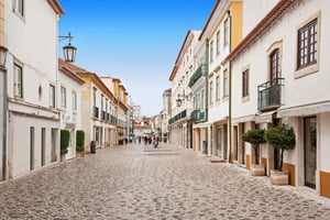 Tomar & Almourol Castle Day Tour