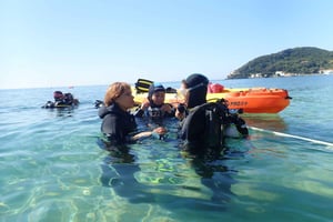 Try Dive in Arrábida Marine Reserve Setubal Sesimbra