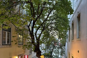 Vegan Food and Culture Walking Tour with Tastings