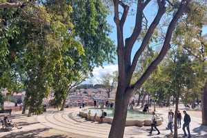 Walking Tour in the Center (Max 12 Participants)