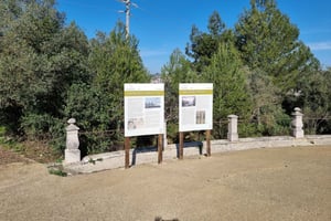 Wellington's Defensive Lines Tour