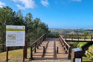 Wellington's Defensive Lines Tour