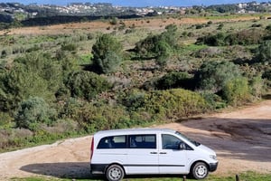 Wellington's Defensive Lines Tour