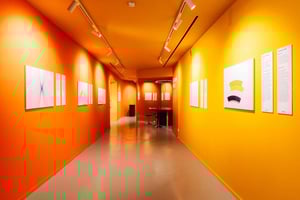 Your Ticket to the Museum of Illusions