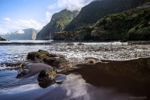 Madeira West Island Full-Day Tour with Fanal Forest