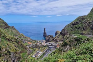 Madeira West Island Full-Day Tour with Fanal Forest