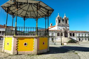 Nazaré (Giant Waves): Half-Day Private Tour from Lisbon