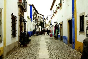 Óbidos, Nazaré & Alcobaça: Private Trip by Car