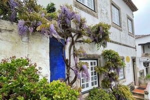 Óbidos & Nazaré Tour - Conquer the castle, feel the ocean