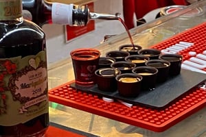 Óbidos & Nazaré Tour - Conquer the castle, feel the ocean