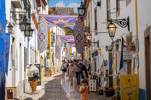 Óbidos: Private & Flexible Walking Tour in Medieval Town