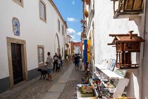 Óbidos: Private & Flexible Walking Tour in Medieval Town