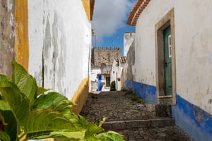 Óbidos: Private & Flexible Walking Tour in Medieval Town