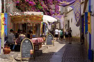 Óbidos: Private & Flexible Walking Tour in Medieval Town