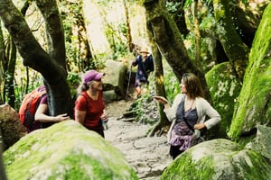 Pena Palace, Moorish Castle,Quinta ad Regaleira:Walking tour