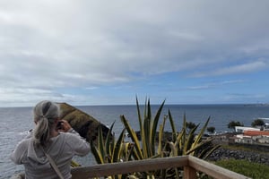 Ponta Delgada: Private City Tour by Electric Tuk Tuk