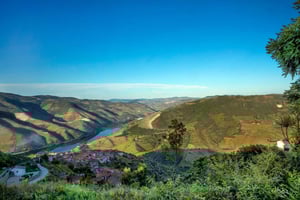 Portugal: An Epic North-to-South Journey - 7 Days