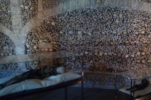 Private day tour to Évora: cork, factory, winery & the city