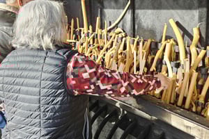 Private Fátima Tour: Fátima- Nazaré- Óbidos