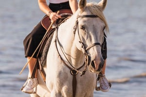 PRIVATE Horseback Riding On The Beach