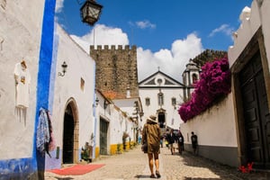 Private Transfer Lisboa-Porto and Vice-Versa With 2 Stops