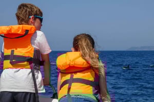 Sesimbra: Arrábida Dolphin and Whale Watching with Biologist