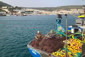 Sesimbra: Half-Day Tour to Arrabida with Wine Tasting