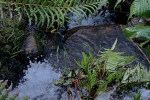 Sintra Highlights: Private Local Tour - Palaces & Views