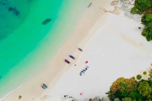 Fra Lisboa: Kajakkutflukt i Arrábida naturpark med lunsj