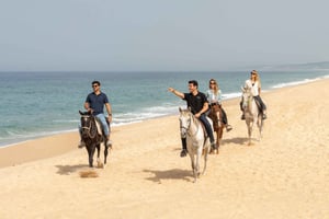 Comporta and Setúbal Trip with Horseback Riding