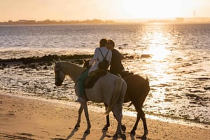 Horseback Riding On The Beach At Sunset