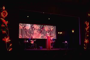 Lisboa: espetáculo de fado ao vivo no Chiado