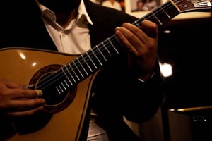 Lisbon: Fado Night Tour with Dinner and Show