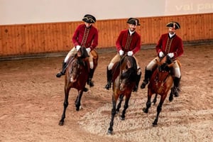 Lisbon: Morning of Equestrian Art with Lusitano Horses