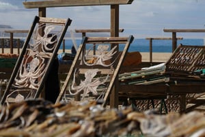 Lissabon: nach Porto oder umgekehrt Tagestour mit bis zu 3 Stopps