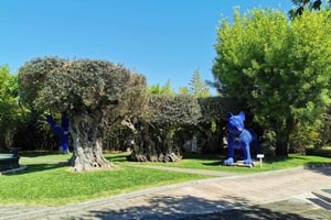 De Lisboa a la cata de vinos en Setúbal, dos bodegas, tour de medio día.