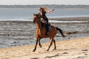 Passeios a cavalo PRIVATIVOS na praia