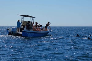 Sesimbra: Arrábida Dolphin and Whale Watching with Biologist