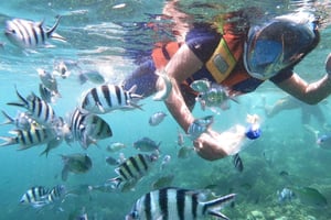 Lombok: Gili Nanggu, Sudak, & Gili Kedis Private Snorkeling